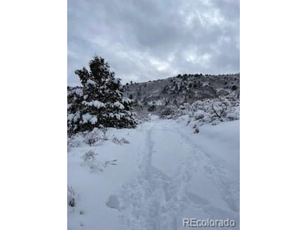 13 Uncompahgre Divide Road Whitewater, CO 81527 - Photo 7 of 9 Gallery Image 7