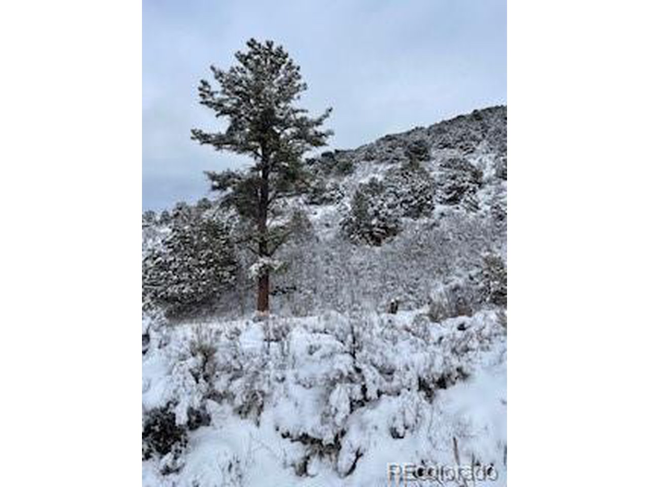 13 Uncompahgre Divide Road Whitewater, CO 81527 - Photo 8 of 9 Gallery Image 8