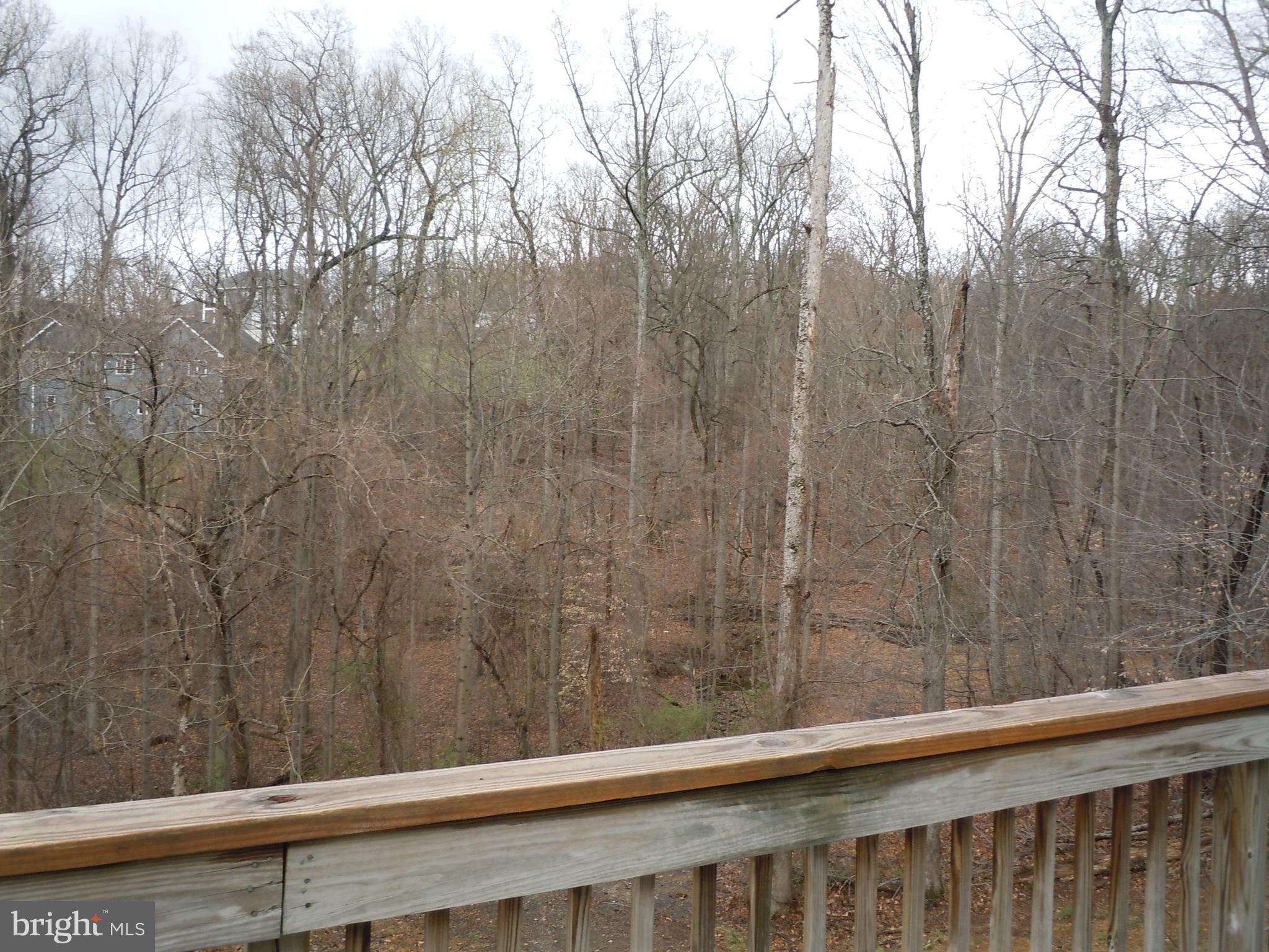 5019 Old Swimming Pool Road Frederick, MD 21703 - Photo 14 of 90