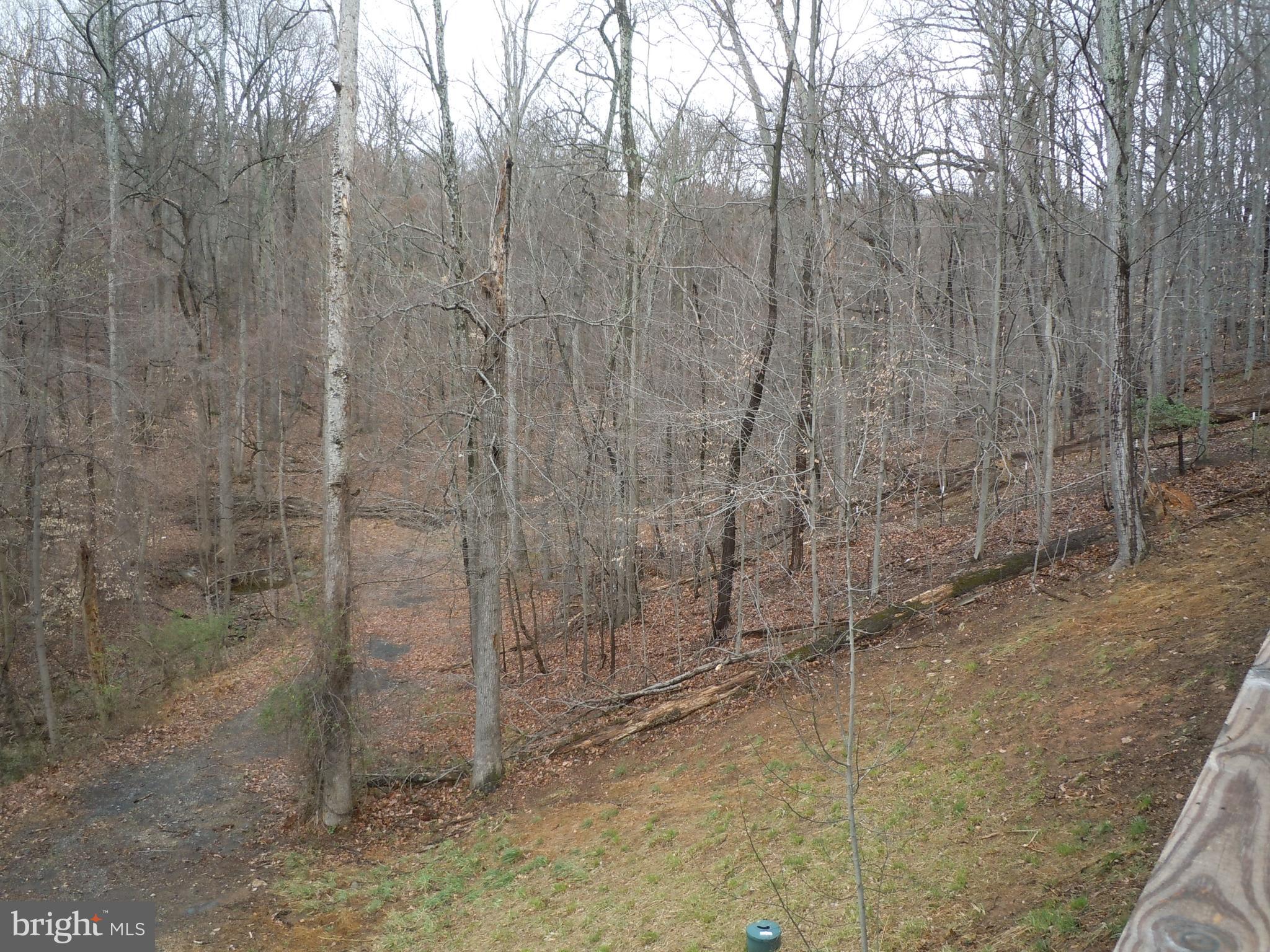 5019 Old Swimming Pool Road Frederick, MD 21703 - Photo 15 of 90