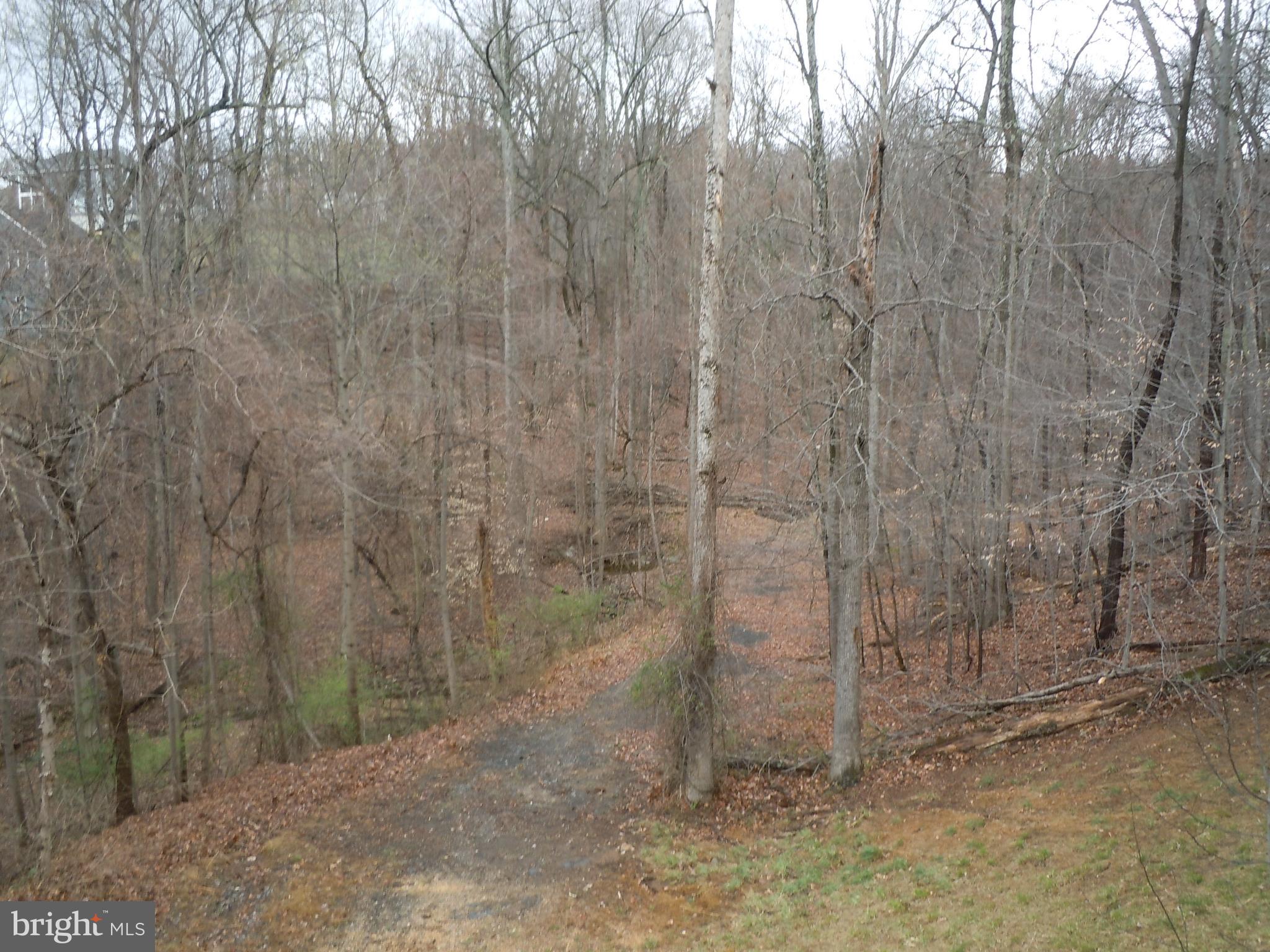 5019 Old Swimming Pool Road Frederick, MD 21703 - Photo 16 of 90