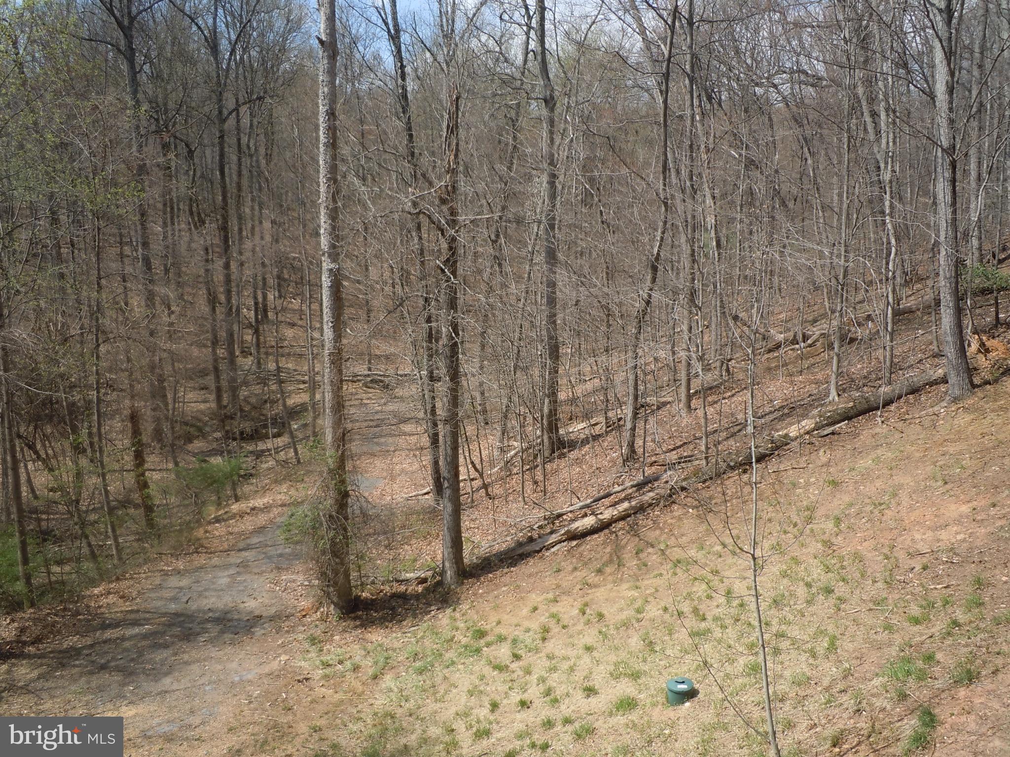 5019 Old Swimming Pool Road Frederick, MD 21703 - Photo 20 of 90