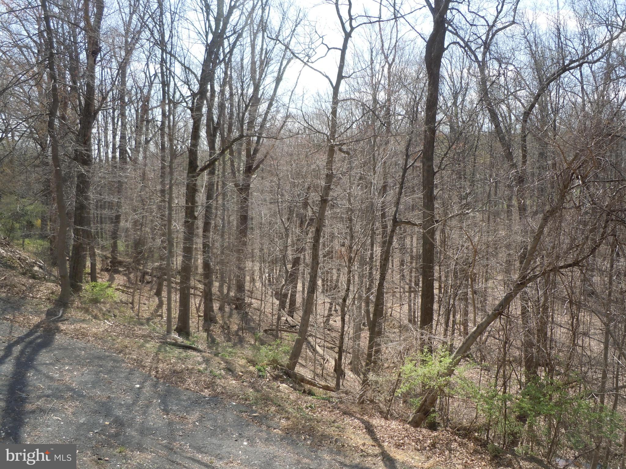 5019 Old Swimming Pool Road Frederick, MD 21703 - Photo 22 of 90