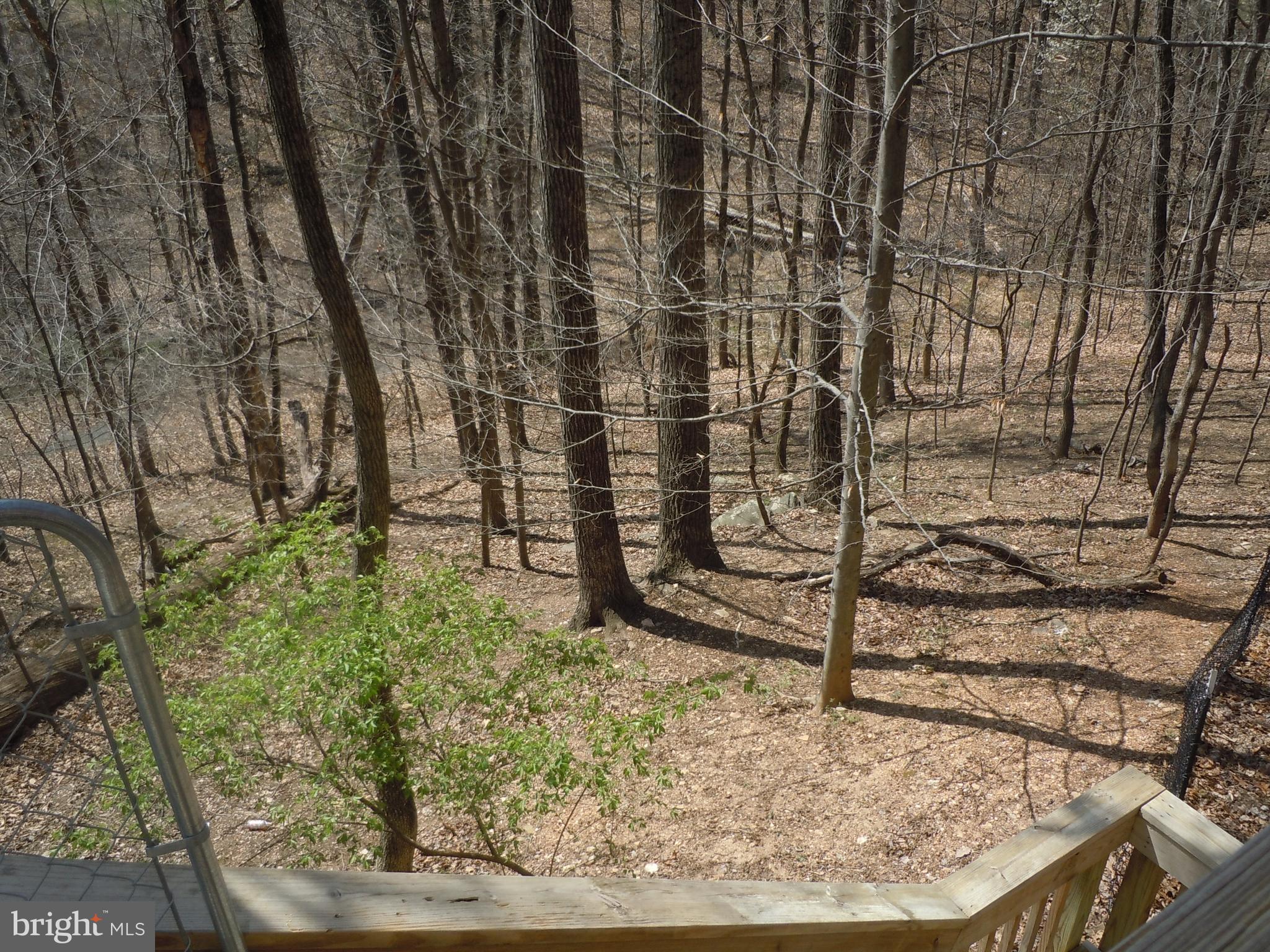 5019 Old Swimming Pool Road Frederick, MD 21703 - Photo 33 of 90