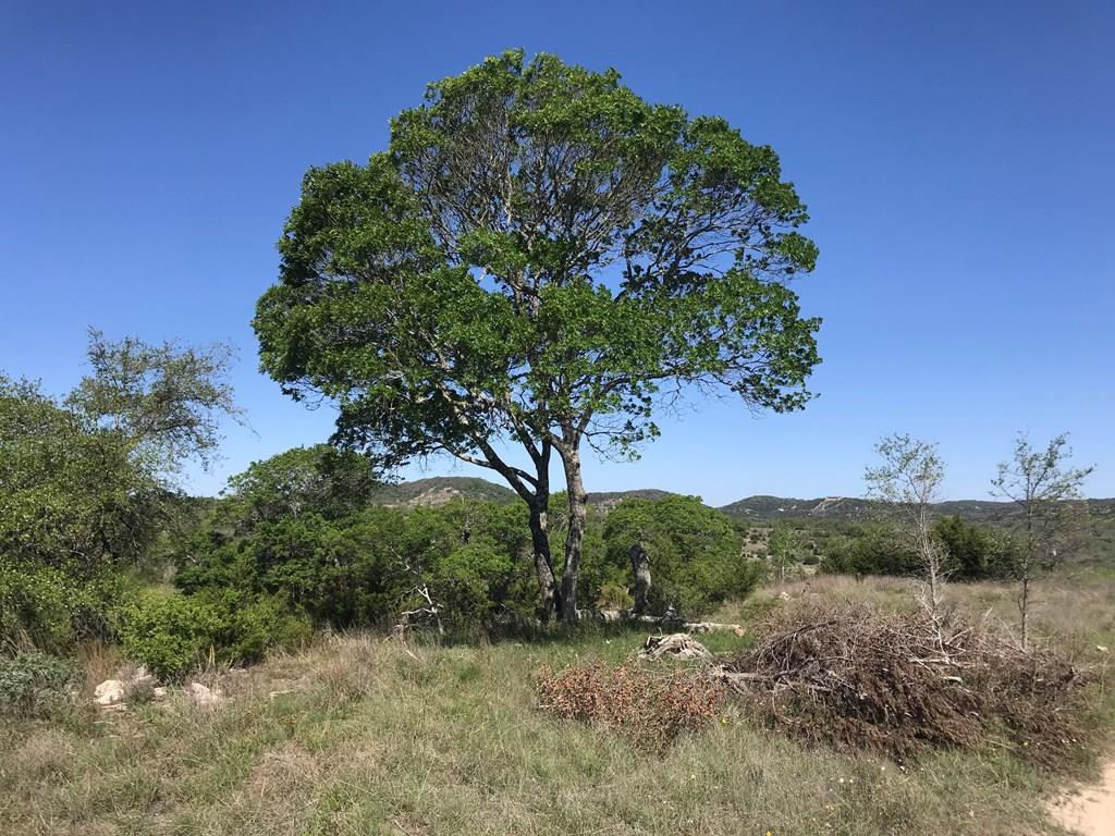 282 High Point Ranch Road, Unit 45 Boerne, TX 78006 - Photo 1 of 14 Main View
