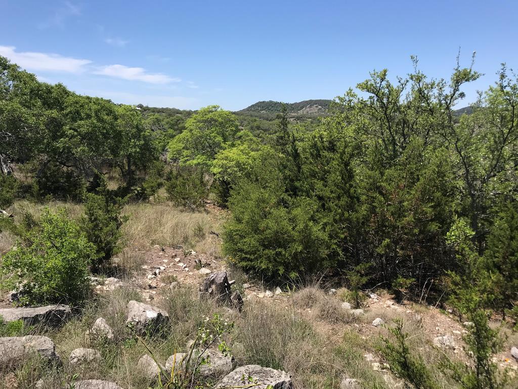 282 High Point Ranch Road, Unit 45 Boerne, TX 78006 - Photo 2 of 14 Gallery Image 2