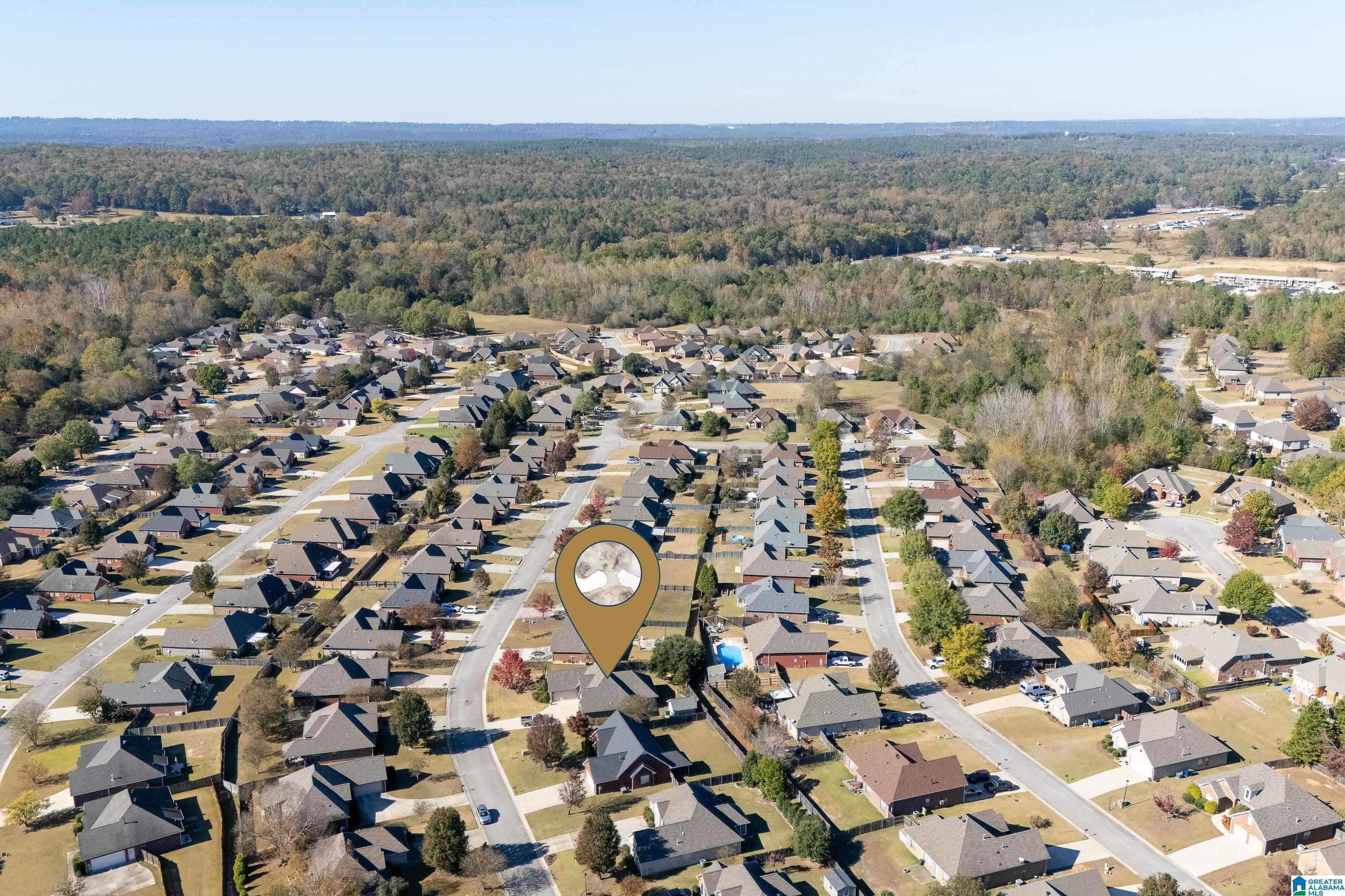 233 Queens Gate Alabaster, AL 35114 - Photo 45 of 49