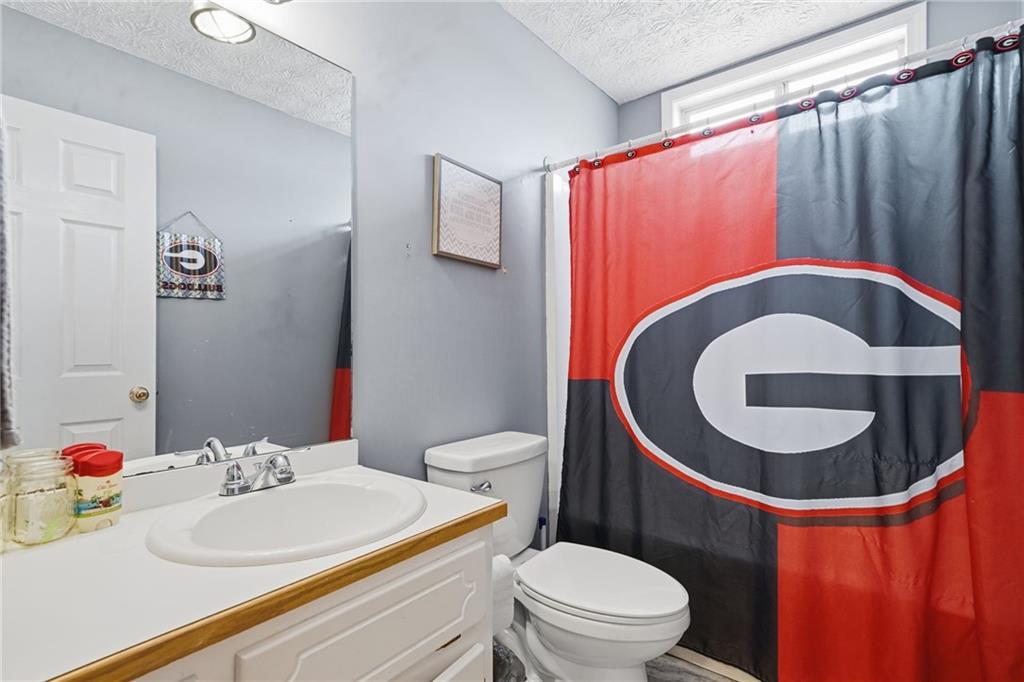 13 Timberline Drive Jasper, GA 30143 - Photo 21 of 39 a bathroom with a sink a toilet and a mirror