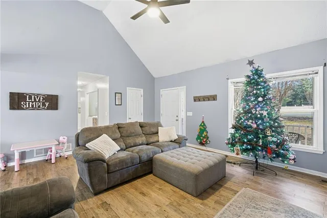 a living room with furniture plant and a window