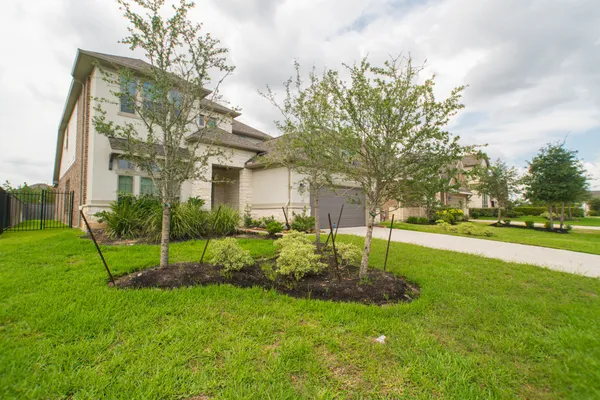 a view of a big yard of front a house