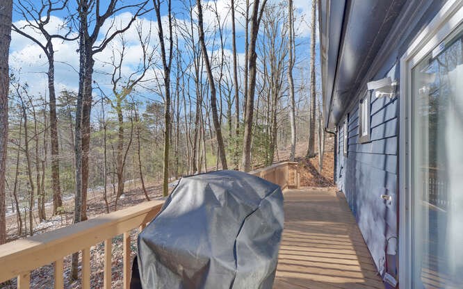 131 Mystic Lane Blue Ridge, GA 30513 - Photo 24 of 30