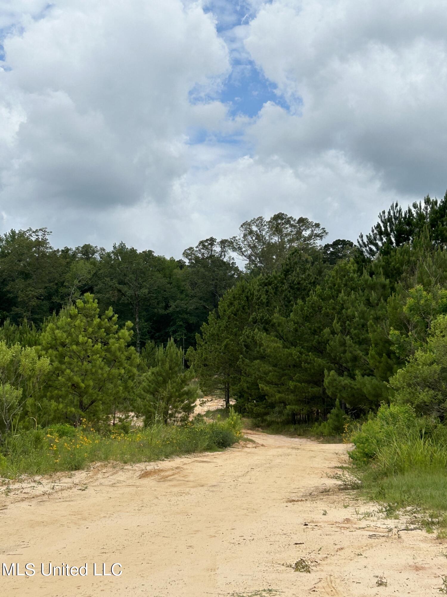 916 White Road Florence, MS 39073 - Photo 1 of 14 White Rd 1