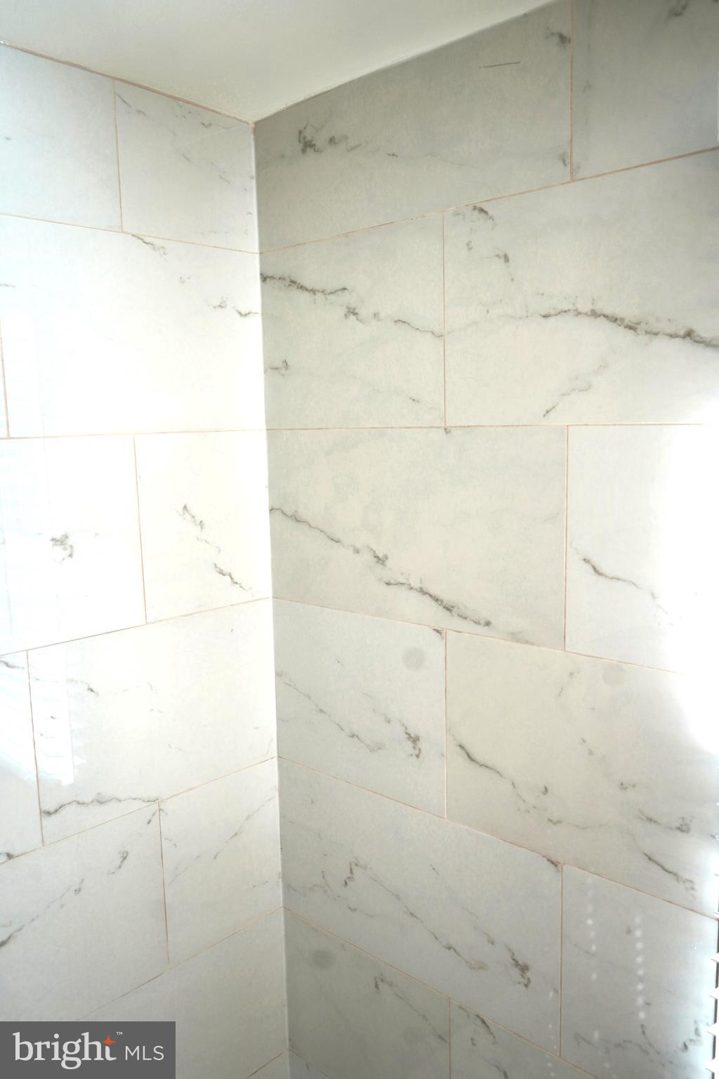 303 Arden Road West Baltimore, MD 21225 - Photo 67 of 95 bathroom1j