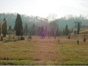Lot Island Island Road Kingsport, TN 37664 - Photo 3 of 5 Photo 3