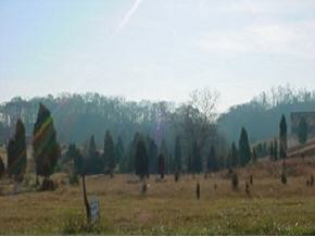 Lot Island Island Road Kingsport, TN 37664 - Photo 5 of 5 Photo 5