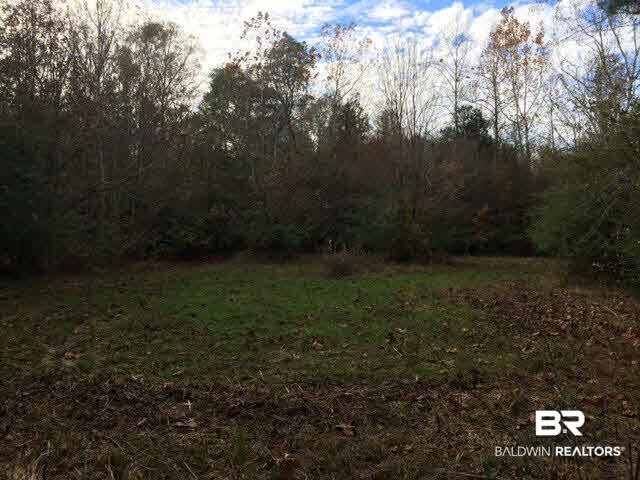 6102 Drewry Road Repton, AL 36475 - Photo 5 of 7