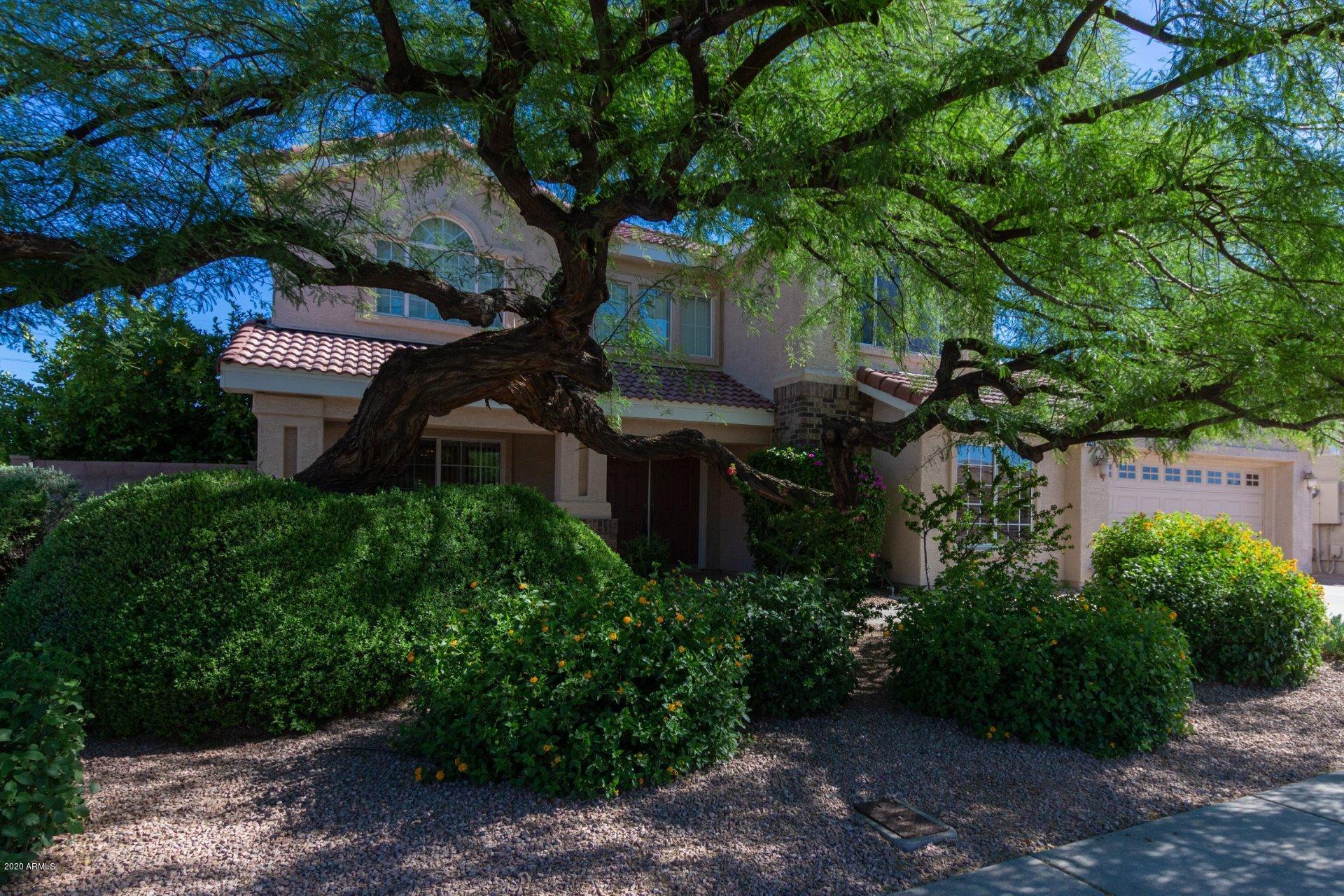 3326 East Escuda Road Phoenix, AZ 85050 - Photo 3 of 50 Escuda - Front Elev3