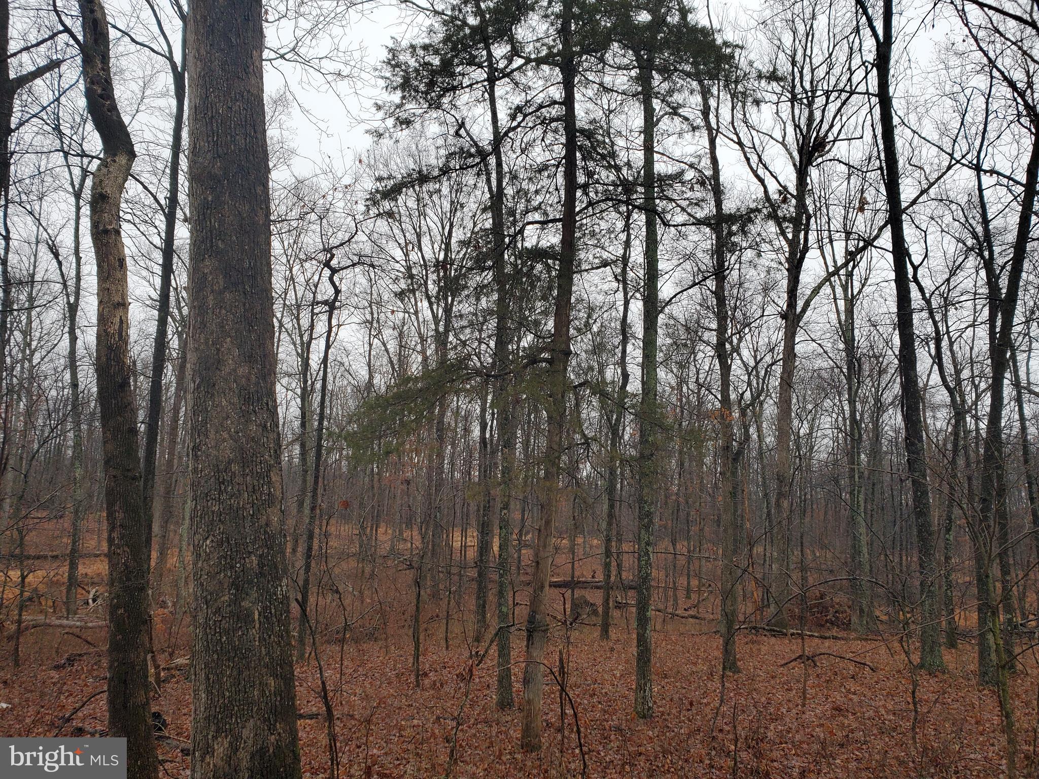 8800 Buckland Mill Road Gainesville, VA 20155 - Photo 1 of 2 Gallery Image 1