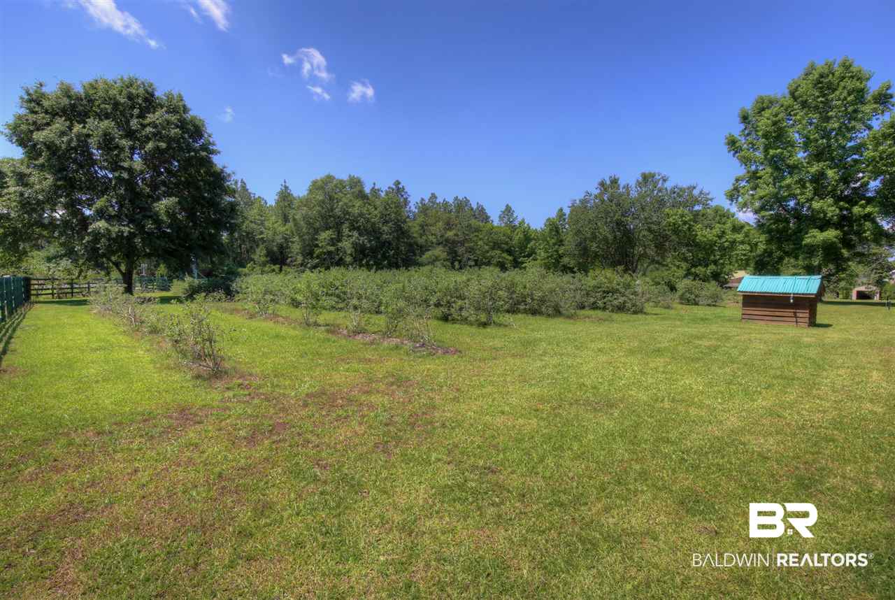 34025 Highway 31 Stapleton, AL 36578 - Photo 8 of 25
