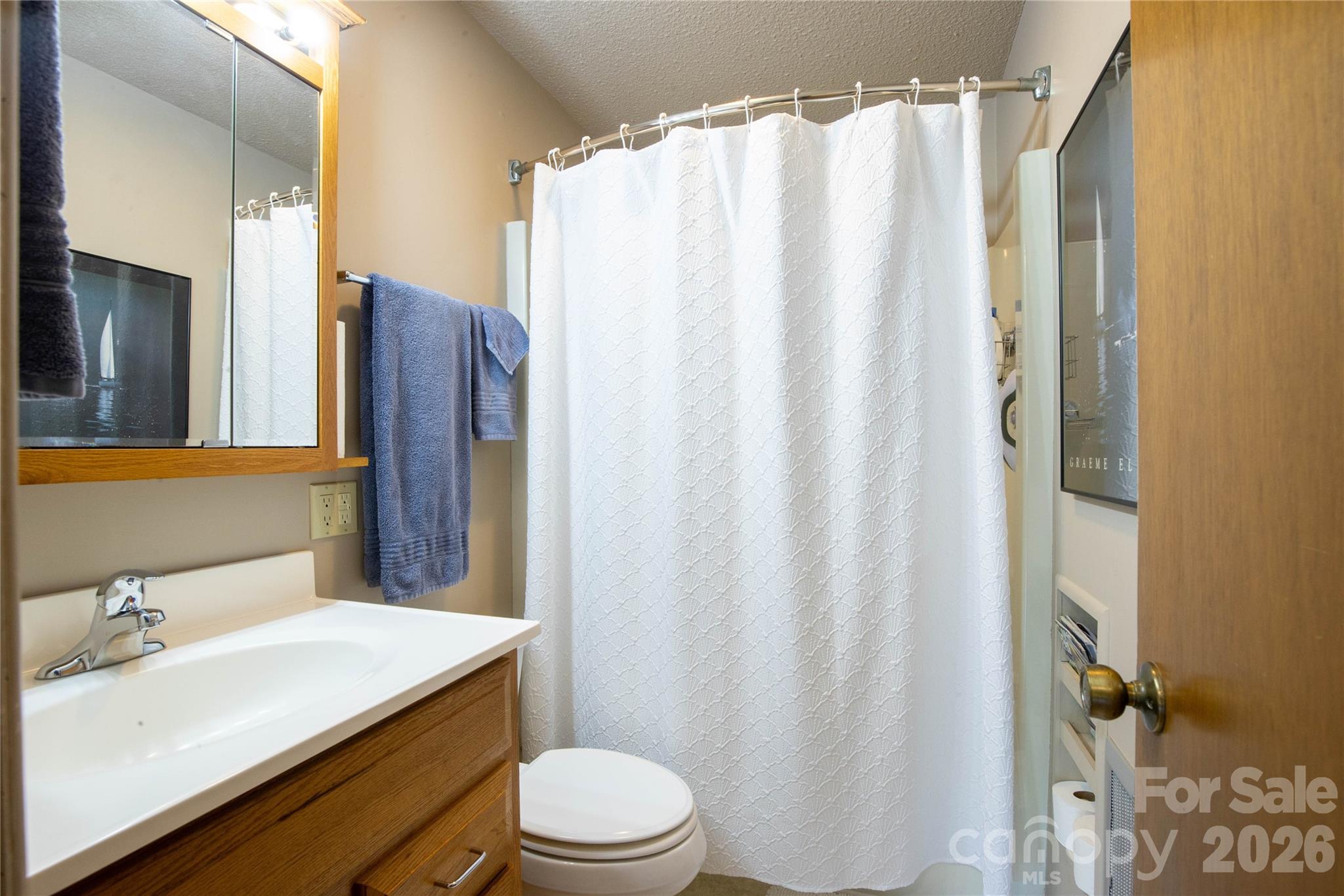 93 Franklin Crest Road Spruce Pine, NC 28777 - Photo 36 of 47 a bathroom with a sink a toilet and shower curtain