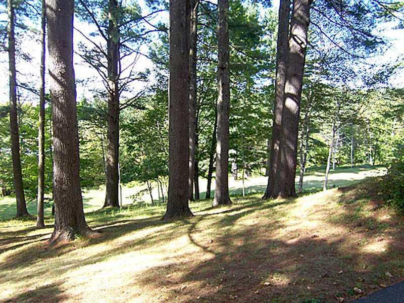 800 South Strong Road Strong, ME 04983 - Photo 32 of 35 Other. Tall Pines Looking Northeast