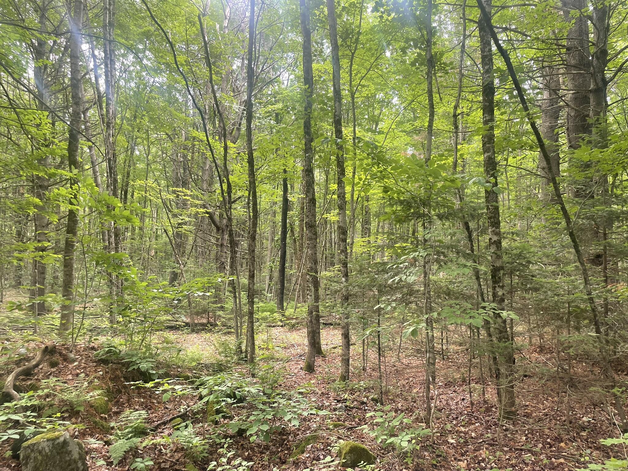 1075 Hill Road Clinton, ME 04927 - Photo 91 of 172 IMG_6189