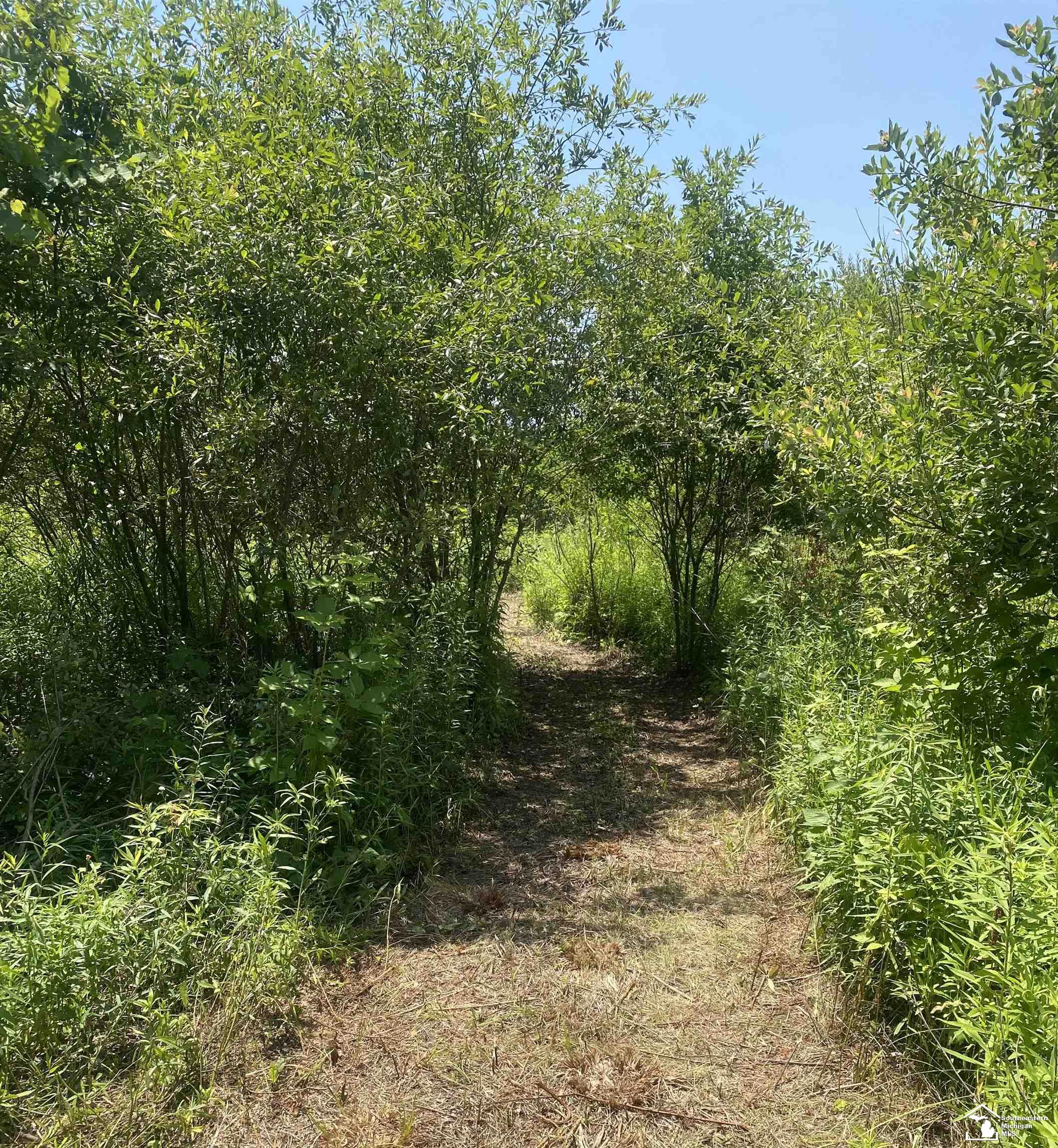 2 Morocco Road Temperance, MI 48182 - Photo 8 of 10