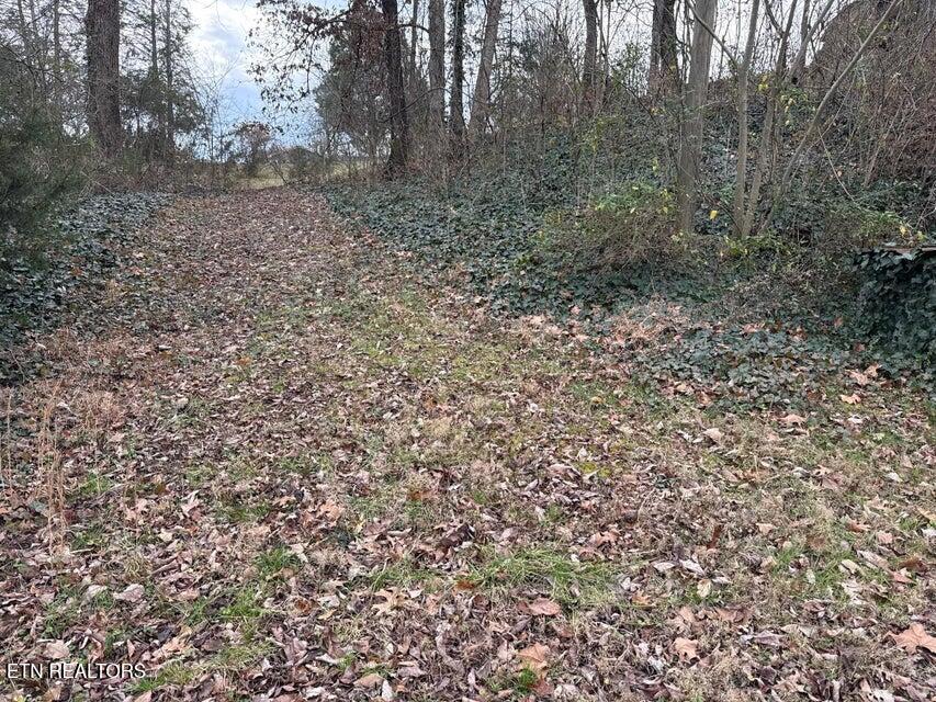 121-141 Spring Street Sevierville, TN 37862 - Photo 5 of 7 121 spr land