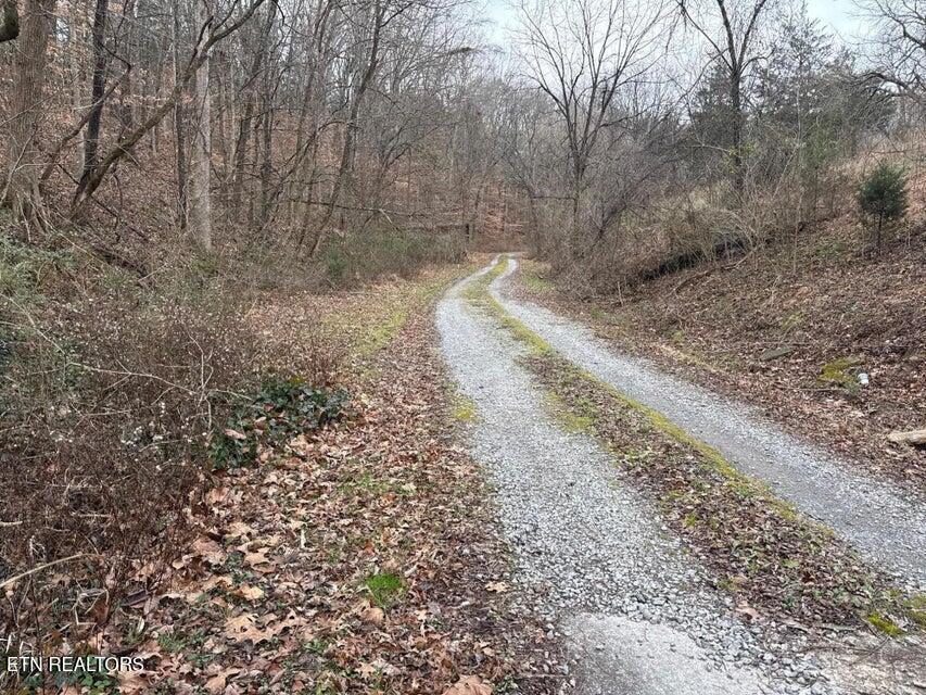 121-141 Spring Street Sevierville, TN 37862 - Photo 8 of 8 141 driveway