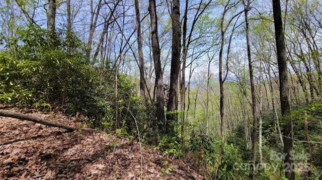 a view of backyard with green space