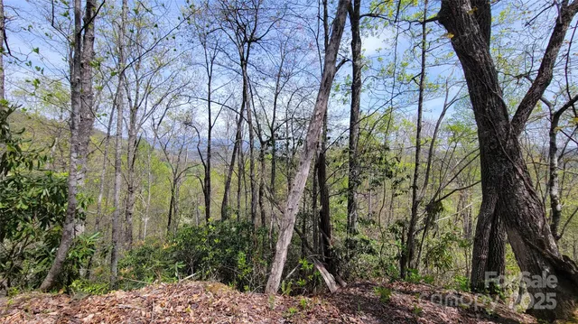 $65,000 | 29 Lacy Fern Ridge, Unit 29, Sylva, NC 28779