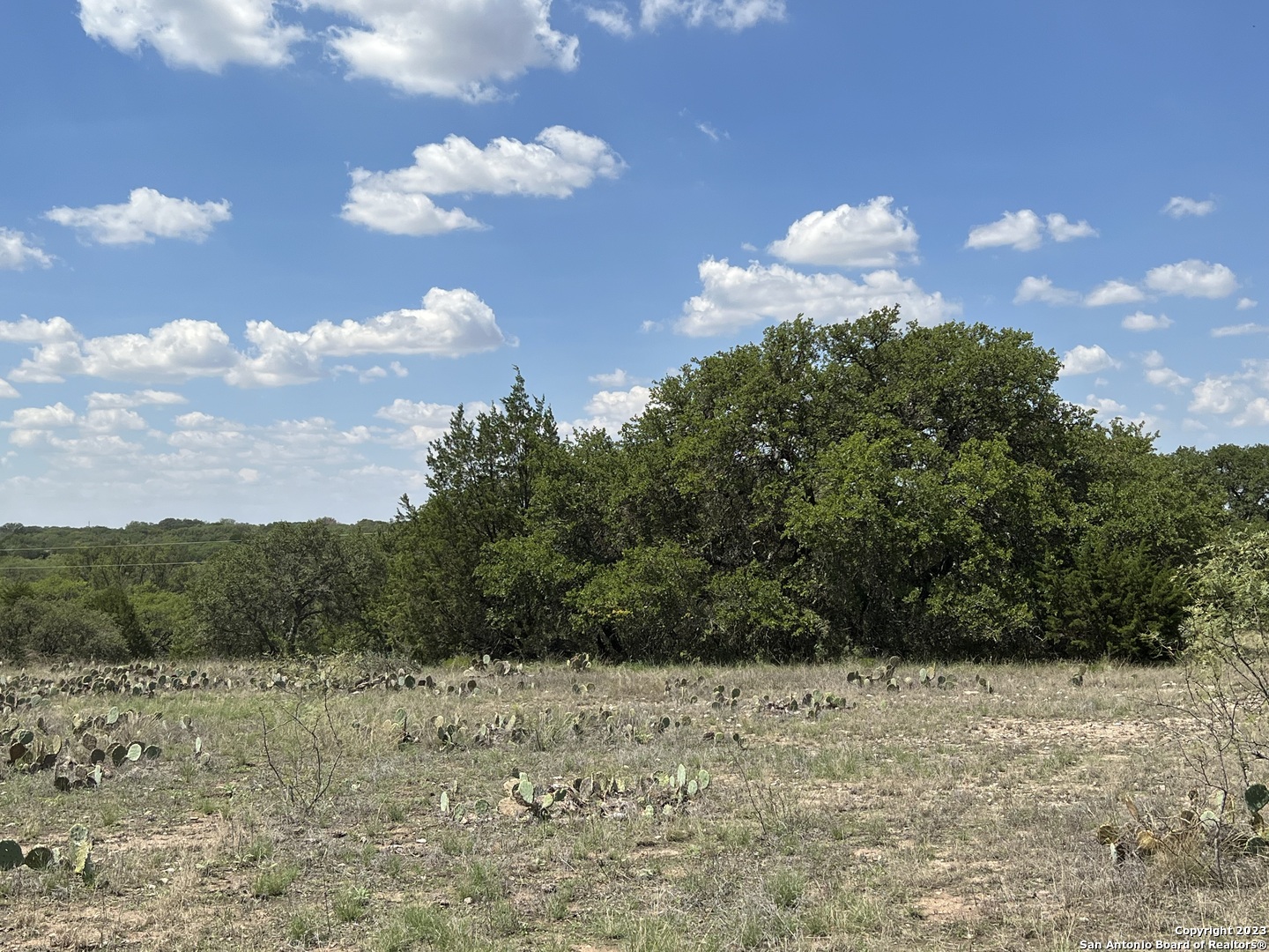 0 Fm 573 Mullin, TX 76864 - Photo 12 of 14 a view of a dry yard