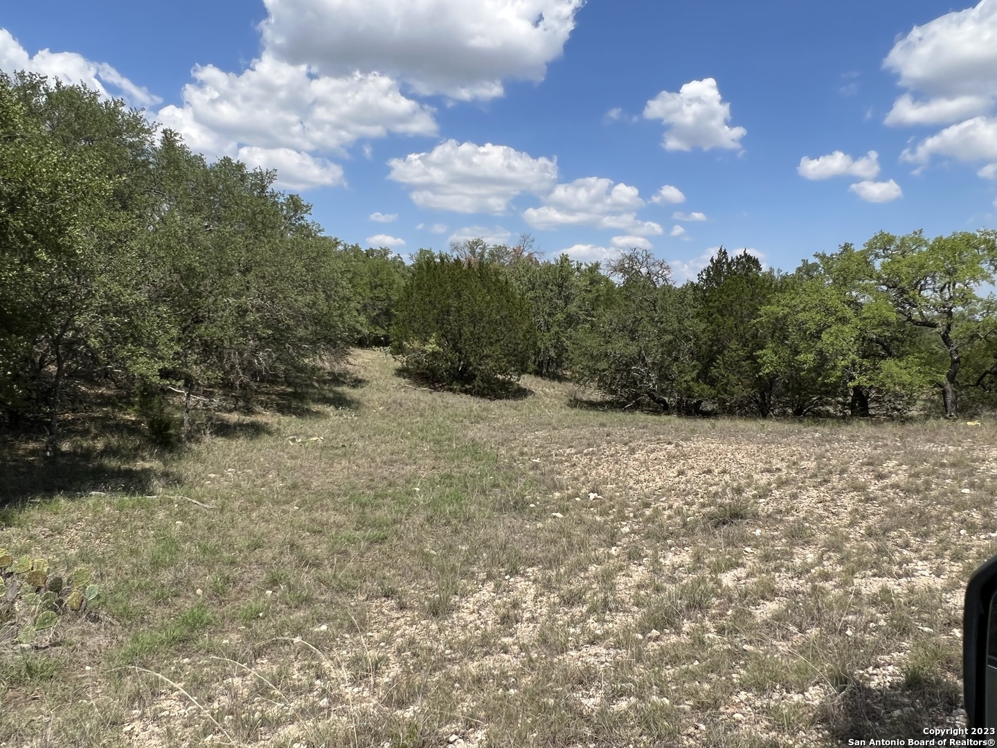 0 Fm 573 Mullin, TX 76864 - Photo 13 of 14 a view of a yard