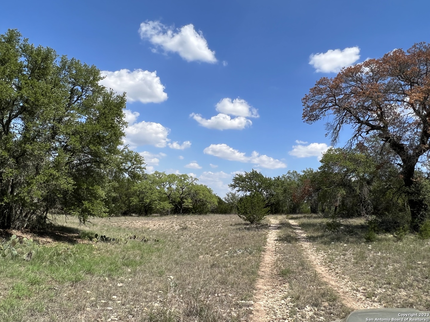 0 Fm 573 Mullin, TX 76864 - Photo 2 of 14 a view of a yard with a tree
