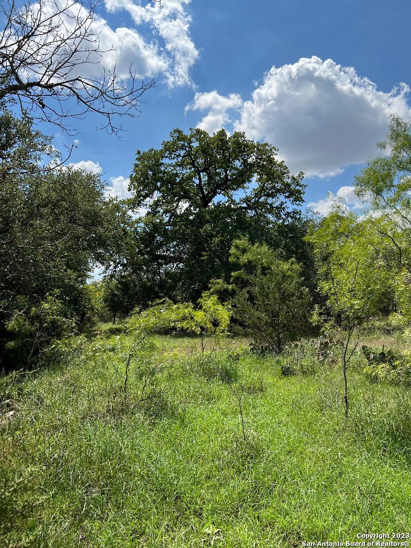 0 Fm 573 Mullin, TX 76864 - Photo 4 of 14 a view of a bunch of trees and bushes
