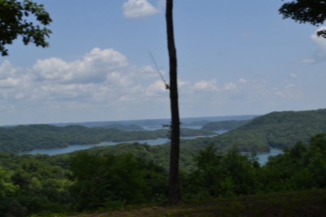 0 Rock Fish Road East Celina, TN 38551 - Photo 19 of 27