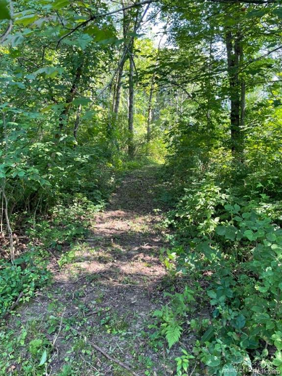 Vl Denton Hills Road Fenton, MI 48430 - Photo 3 of 21