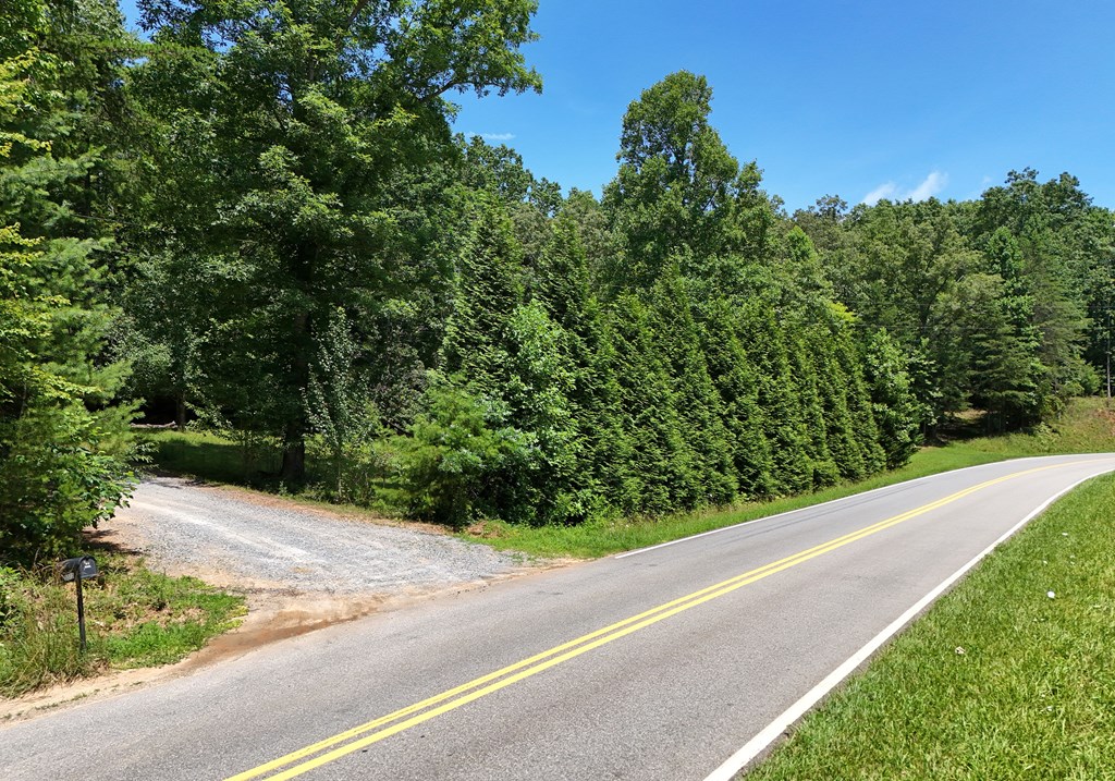 3373 Hardscrabble Road Mineral Bluff, GA 30559 - Photo 5 of 50 Gallery Image 5