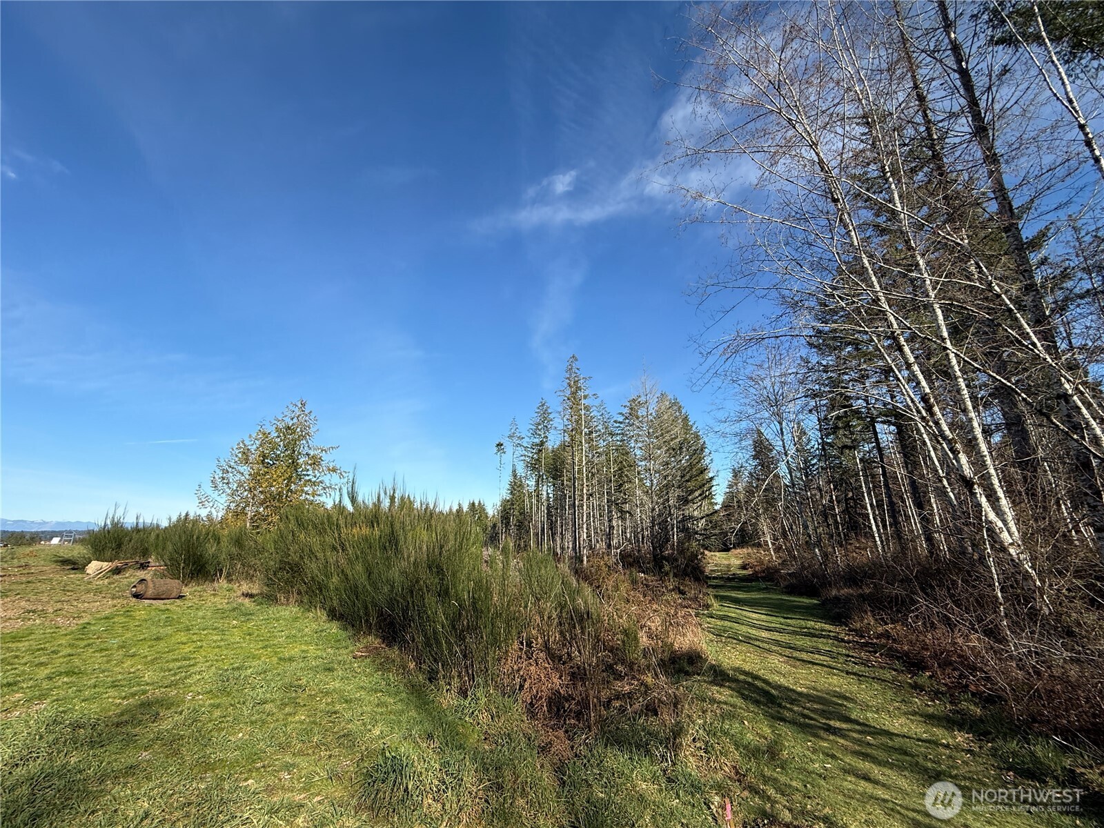 a view of a field with an trees