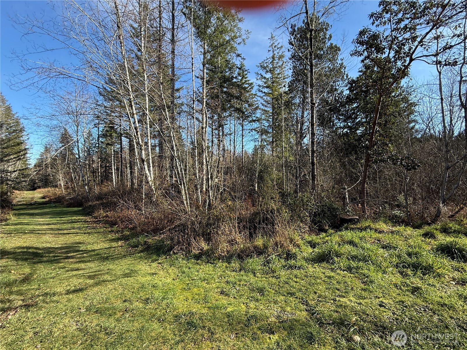 7-parcel East Johnson Ridge Drive Belfair, WA 98528 - Photo 2 of 5 a view of a garden