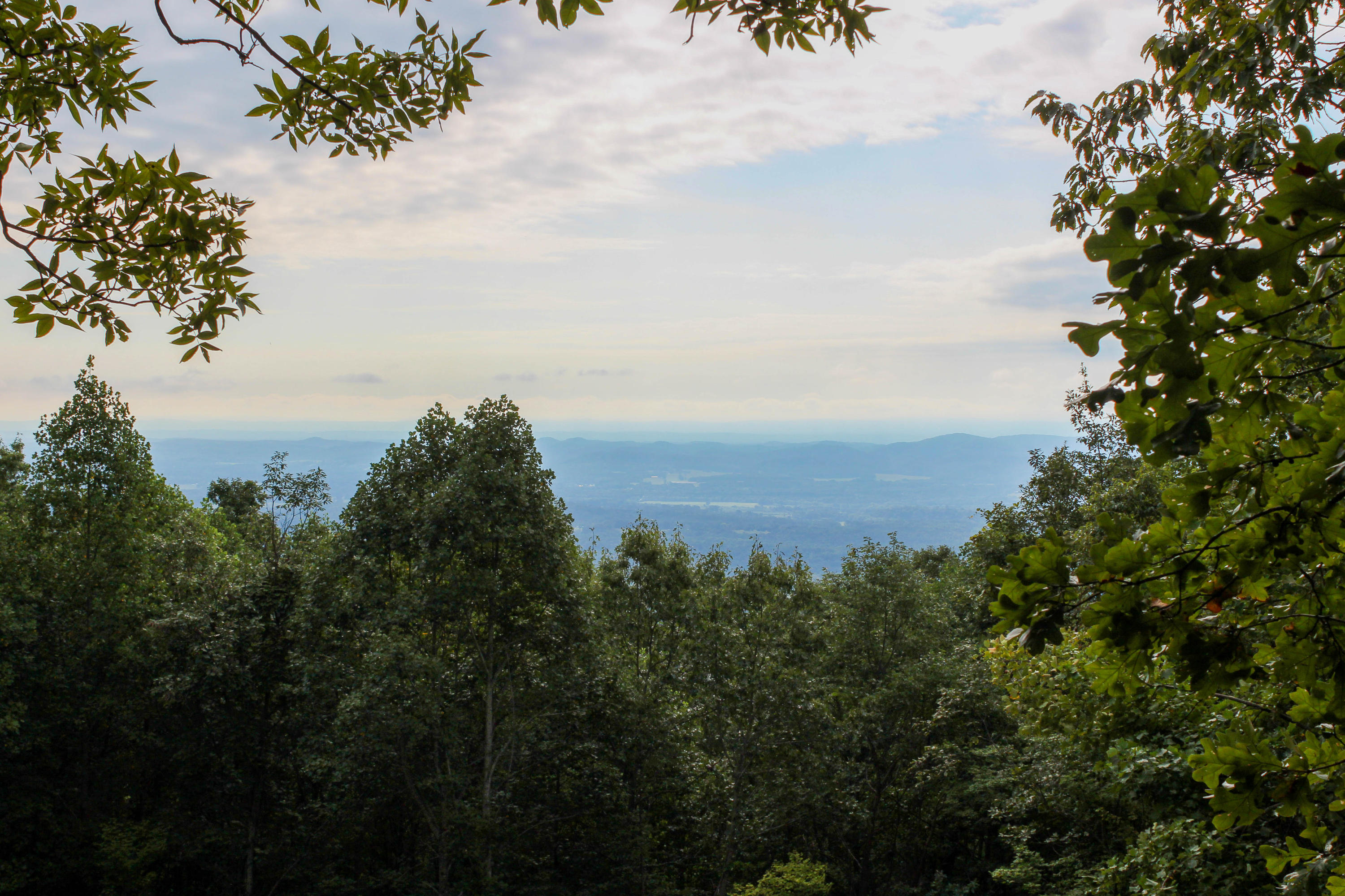 217 Lookout Drive Rising Fawn, GA 30738 - Photo 3 of 19 Brow View