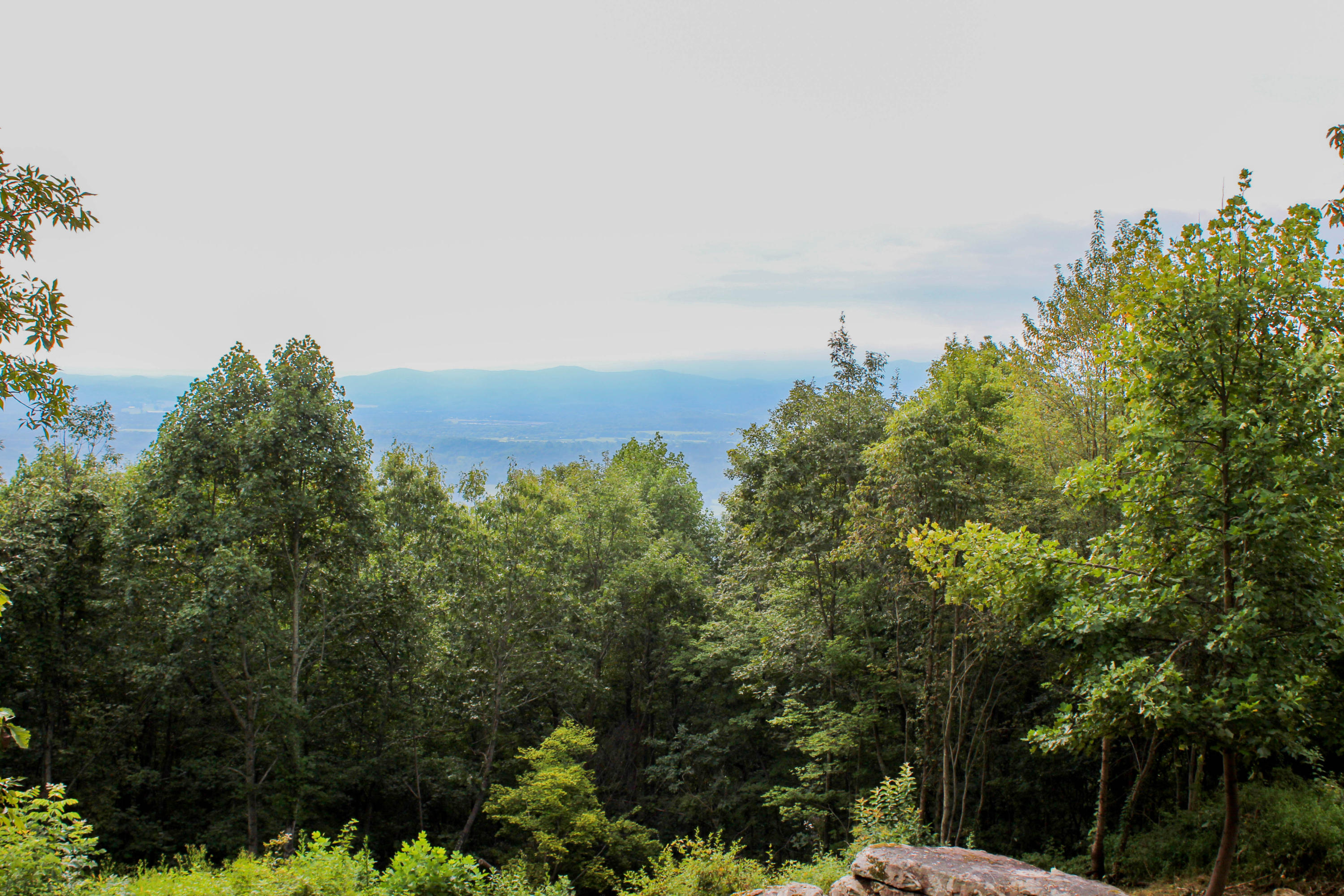 217 Lookout Drive Rising Fawn, GA 30738 - Photo 5 of 19 Brow View