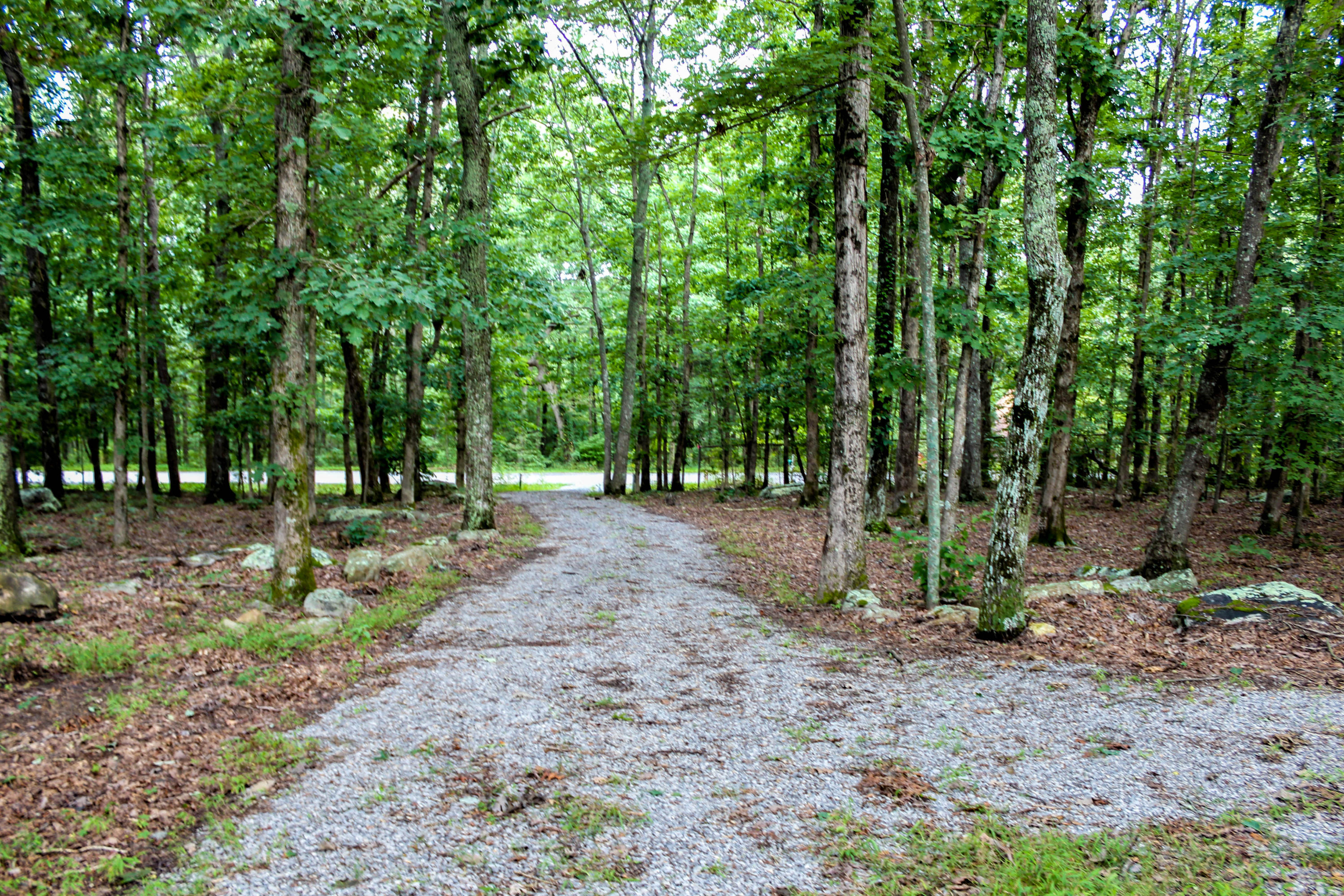 217 Lookout Drive Rising Fawn, GA 30738 - Photo 7 of 19 Driveway