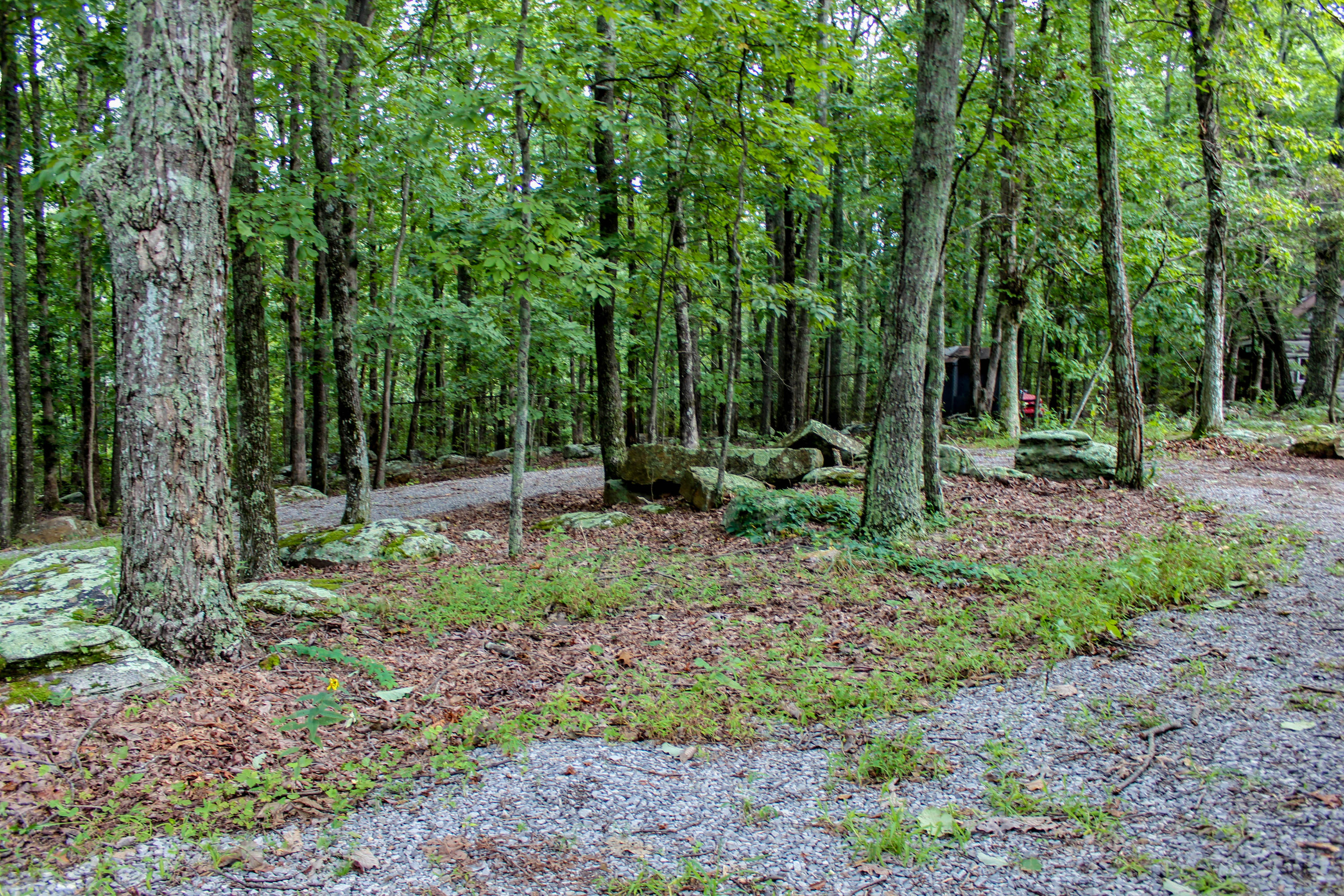 217 Lookout Drive Rising Fawn, GA 30738 - Photo 8 of 19 Wooded Privacy
