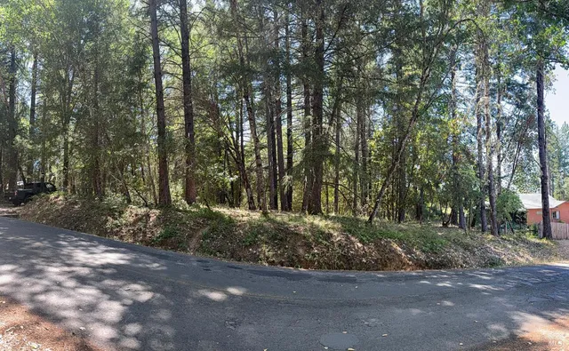 a view of a park with large trees