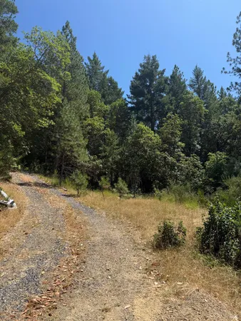 a view of outdoor space and trees
