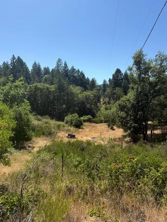 a view of outdoor space and yard
