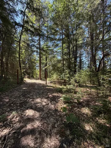 a view of a lake with lots of trees
