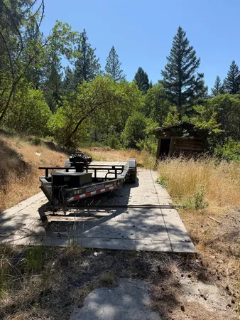 a view of a yard with a tree