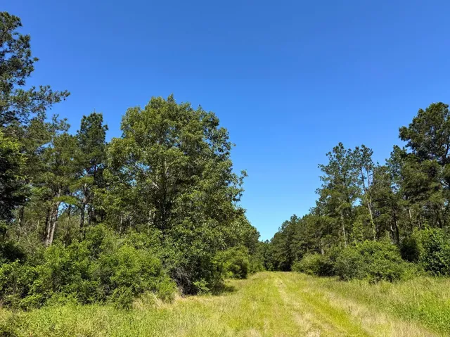 a view of swimming pool with yard